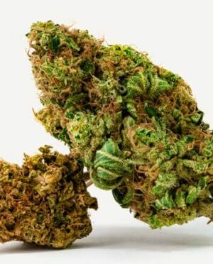 Hemp Flower Box Max (Demo)